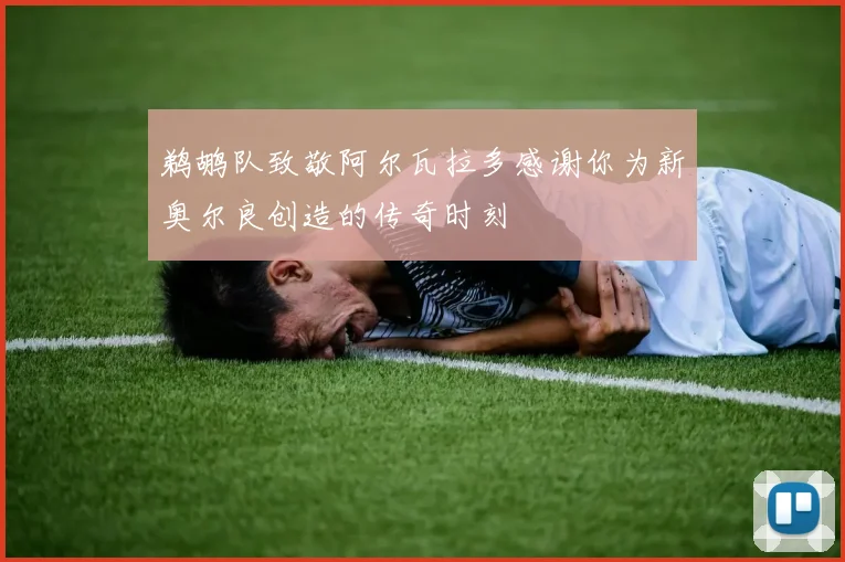 鹈鹕队致敬阿尔瓦拉多感谢你为新奥尔良创造的传奇时刻