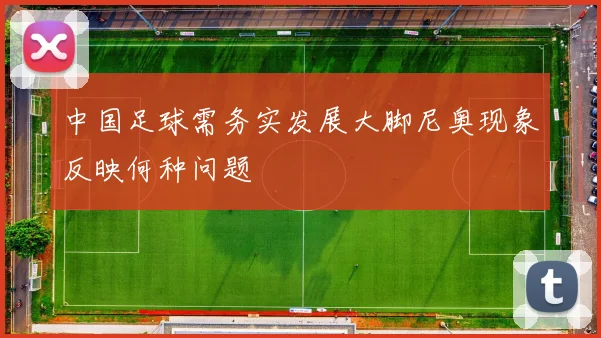中国足球需务实发展大脚尼奥现象反映何种问题
