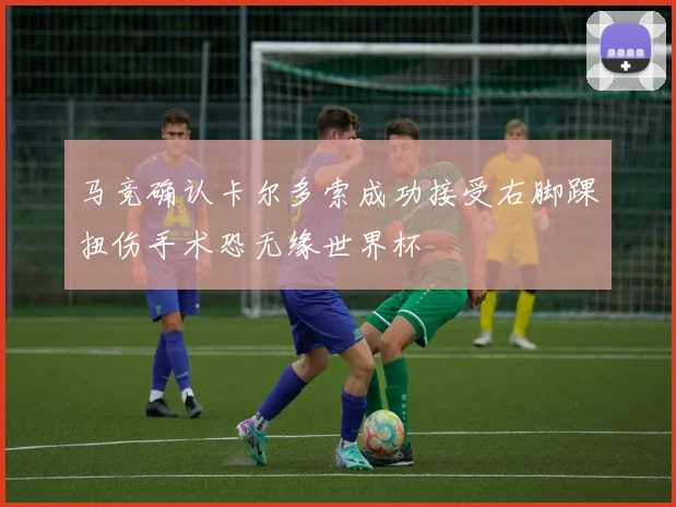 马竞确认卡尔多索成功接受右脚踝扭伤手术恐无缘世界杯