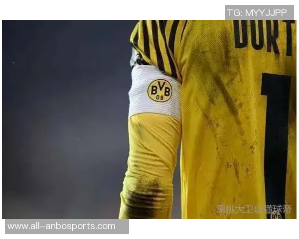 罗伊斯力挺布兰特留队多特未来合作前景可期